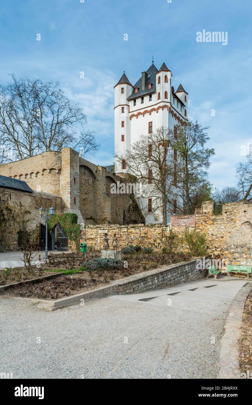 Castello elettorale di Eltville, la città delle rose nel Rheingau, torre castello sulle rive del Reno, ora ospita ufficio di registrazione e Museo Gutenberg, Foto Stock
