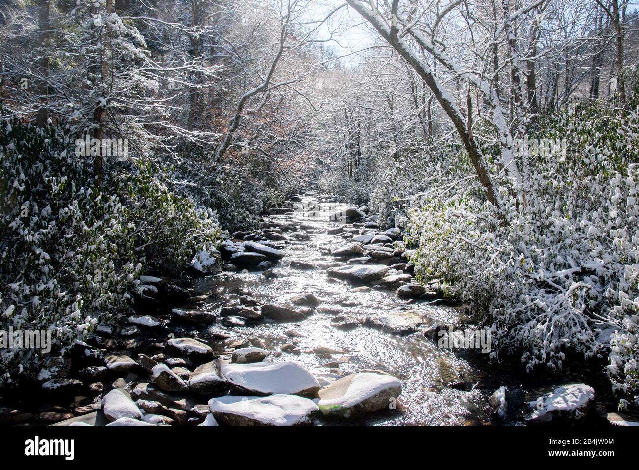 Un torrente roccioso che scorre attraverso una foresta coperta di neve al percorso della grotta di Alum nelle Great Smoky Mountains Foto Stock