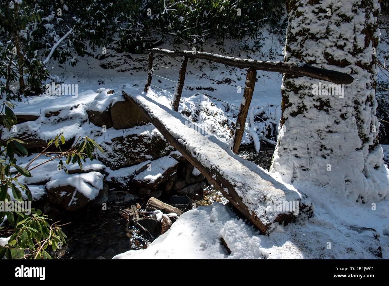 Un ponte fatto di un unico ceppo tagliato a metà dal percorso della grotta di Alum nelle Great Smoky Mountains Foto Stock
