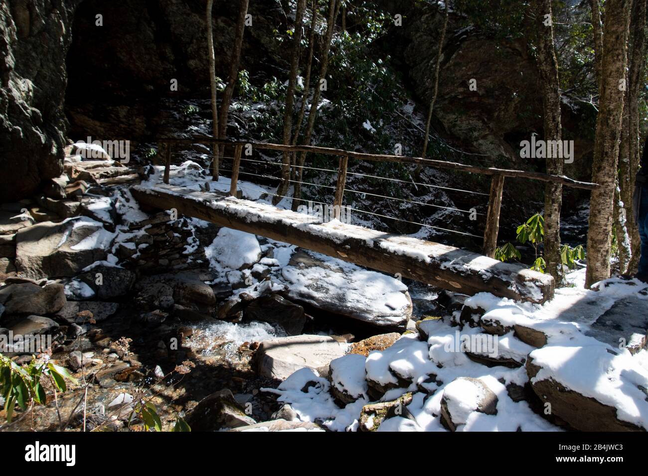 Un ponte fatto di un unico ceppo tagliato a metà dal percorso della grotta di Alum nelle Great Smoky Mountains Foto Stock