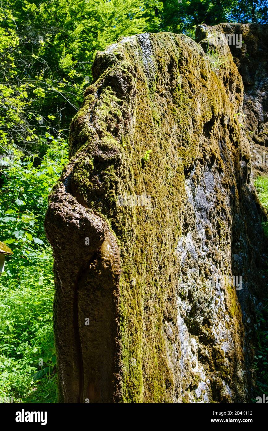 Roccia in crescita, Steinerne Rinne in Usterling, monumento naturale, vicino Landau an der Isar, Bassa Baviera, Baviera, Germania Foto Stock