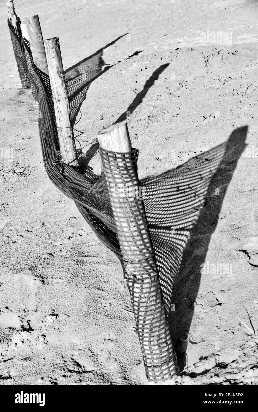 Dune, spiaggia, recinzione, North dike, North Sea, Wadden Sea, Ostfriesland, Bassa Sassonia, Germania, Foto Stock