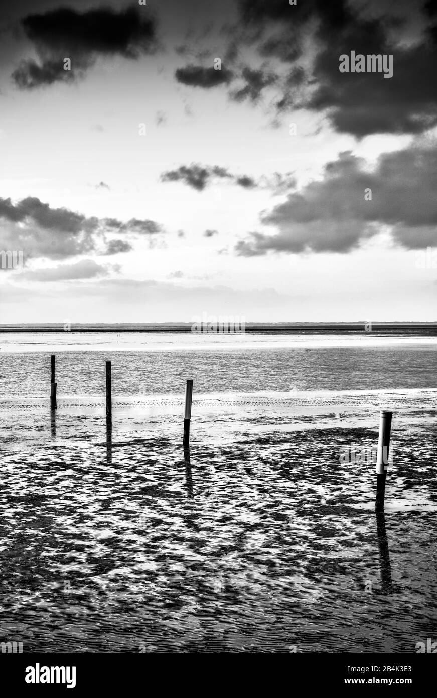 Wadden Sea, Watt, North Dyke, North, North Sea, East Frisia, Lower Saxony, Germany, Foto Stock