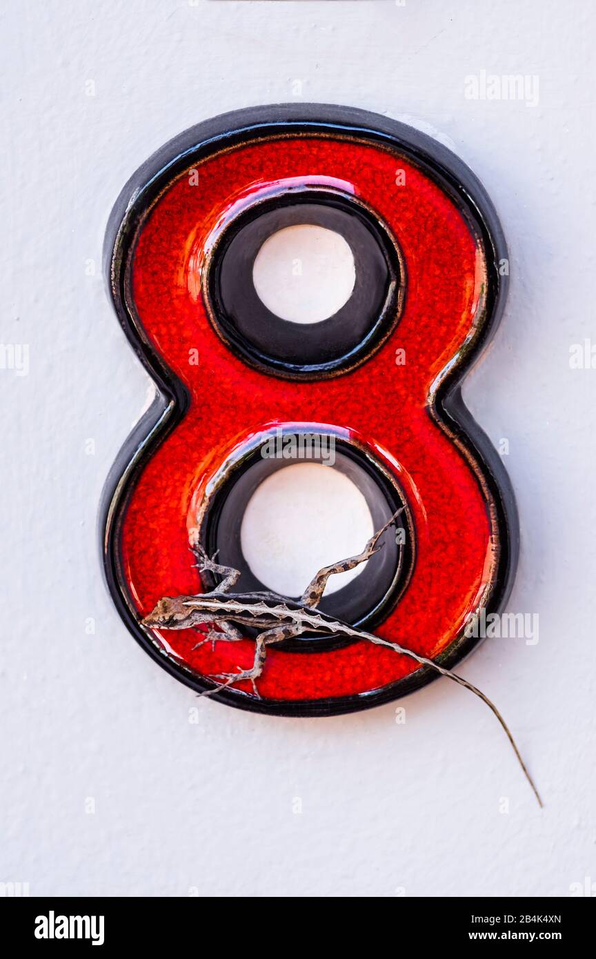 1450Wall, casa numero 8 con lizard Foto Stock