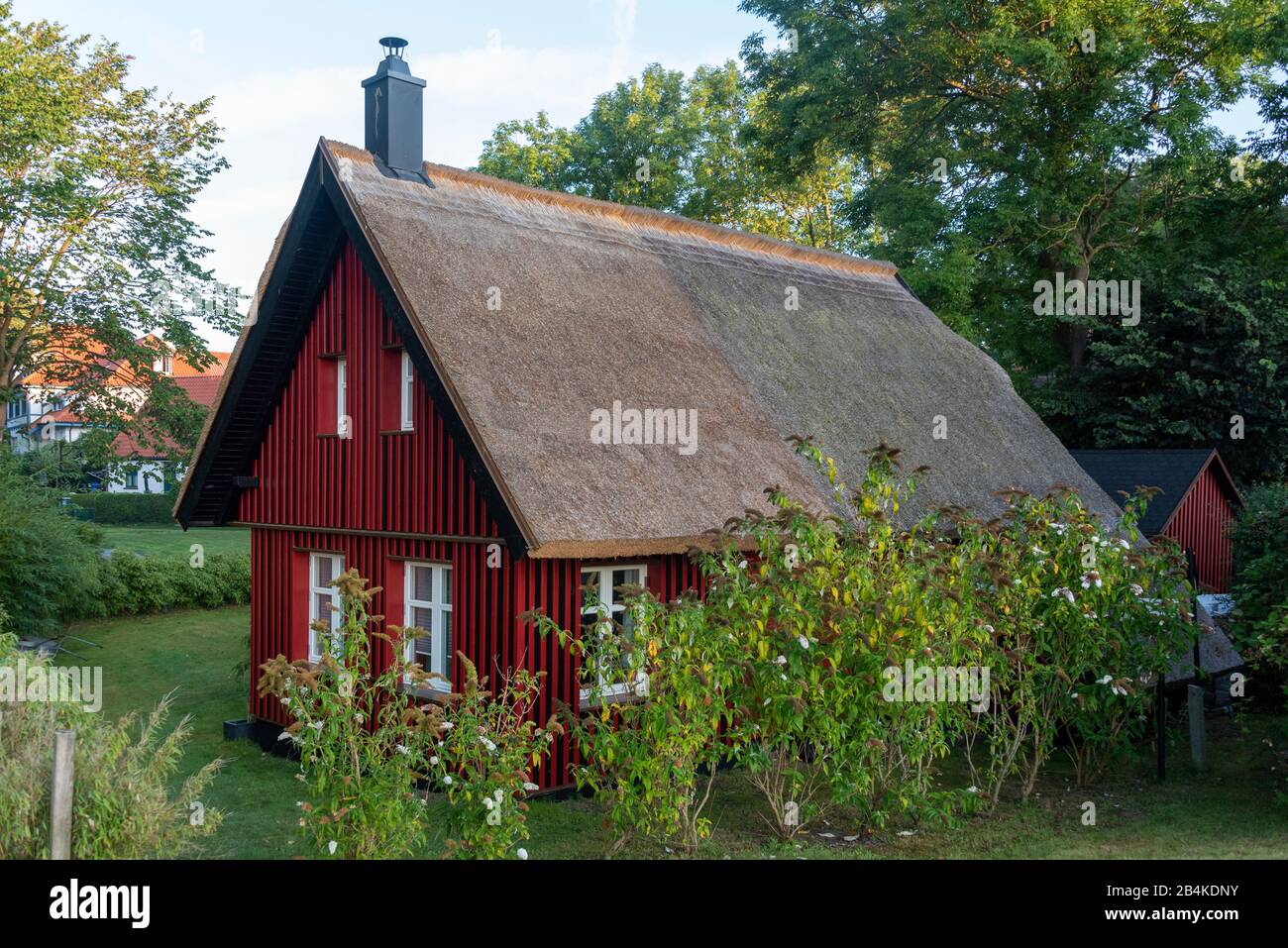 Germania, Mecklenburg-Vorpommern, monastero, casa di paglia, casa di vacanza, isola Hiddensee. Foto Stock