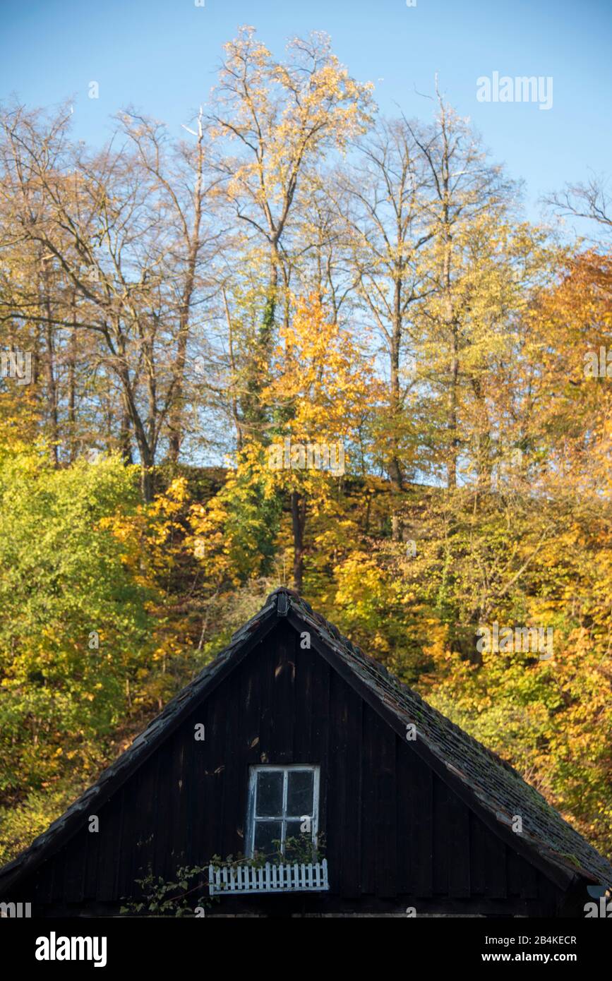 Germania, Sassonia. Bautzen, vista di una casa storica tetto a Bautzen, foresta d'autunno sullo sfondo, alta Lusatia. Foto Stock