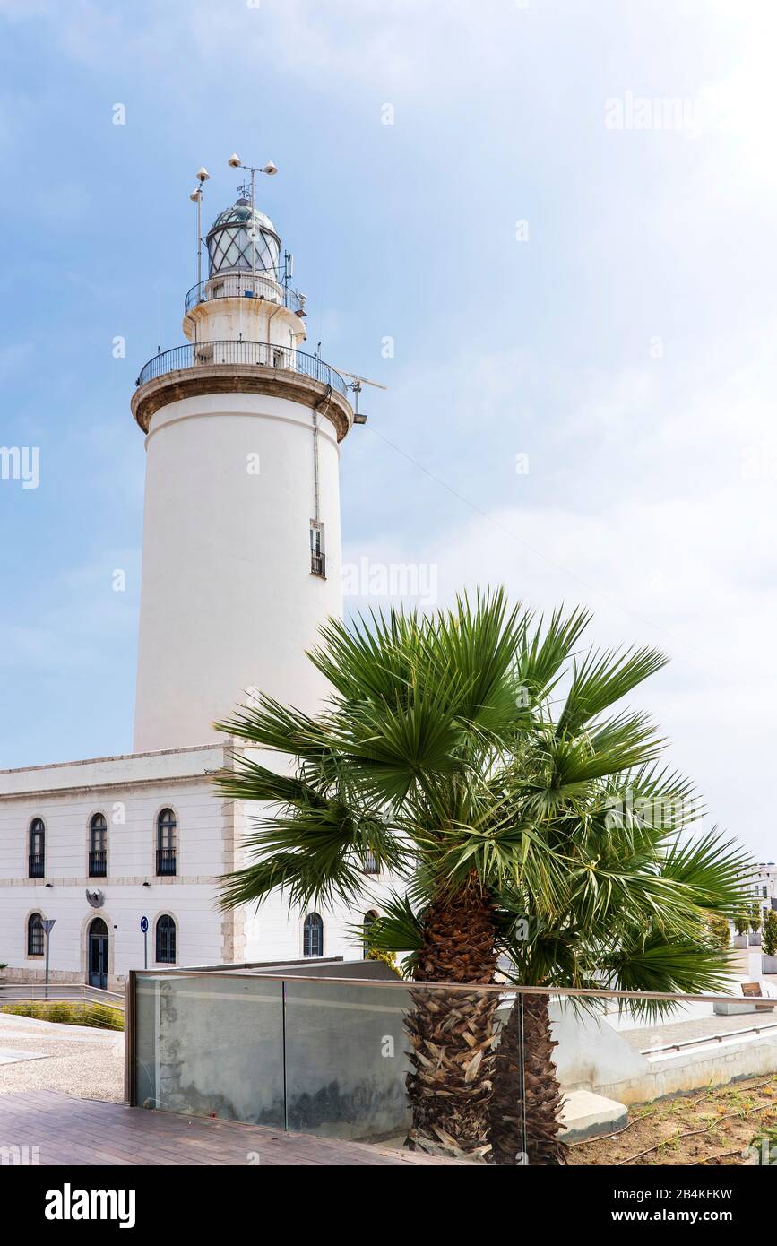 Faro e palma nel porto di Malaga Foto Stock