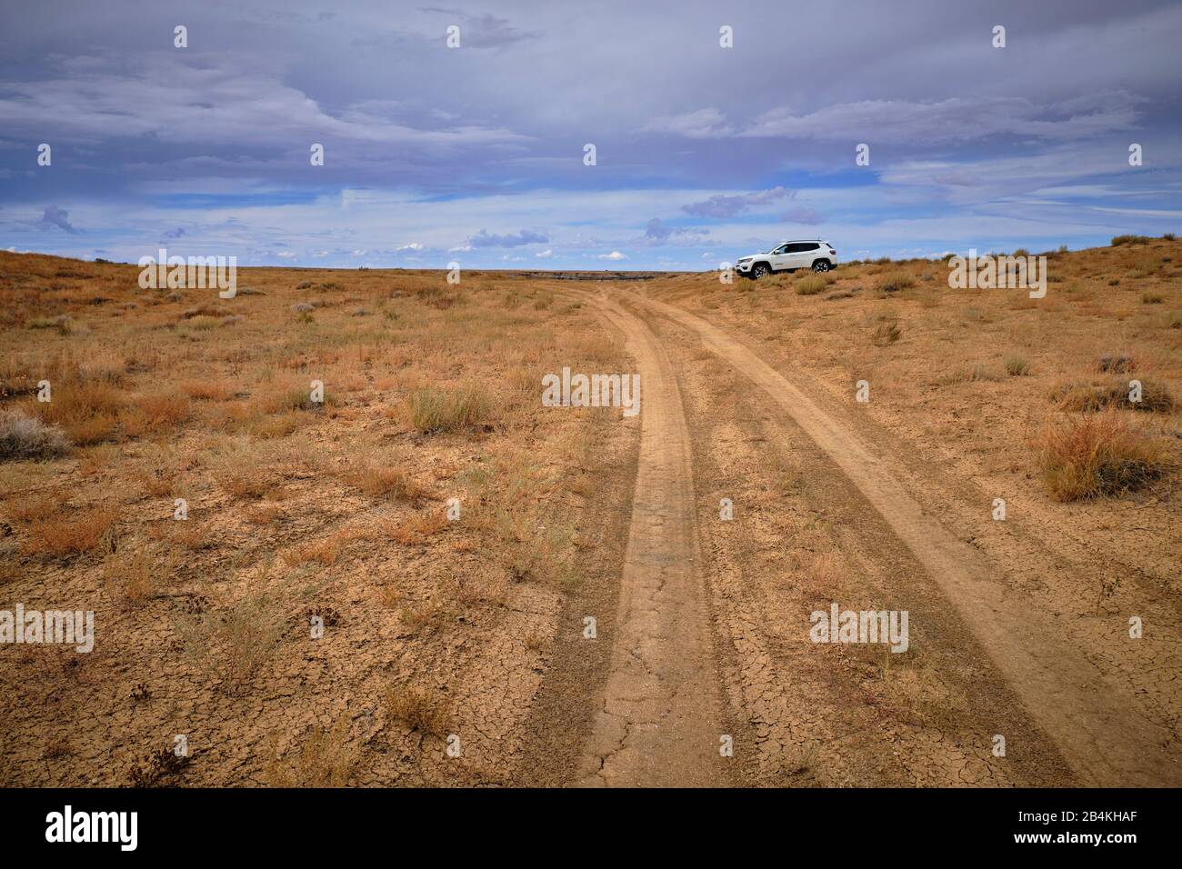 Usa, Stati Uniti D'America, Arizona, Utah, Coal Mine Canyon, Tuba City, Coal Mine Mesa, Moenkopi Plateau, Foto Stock