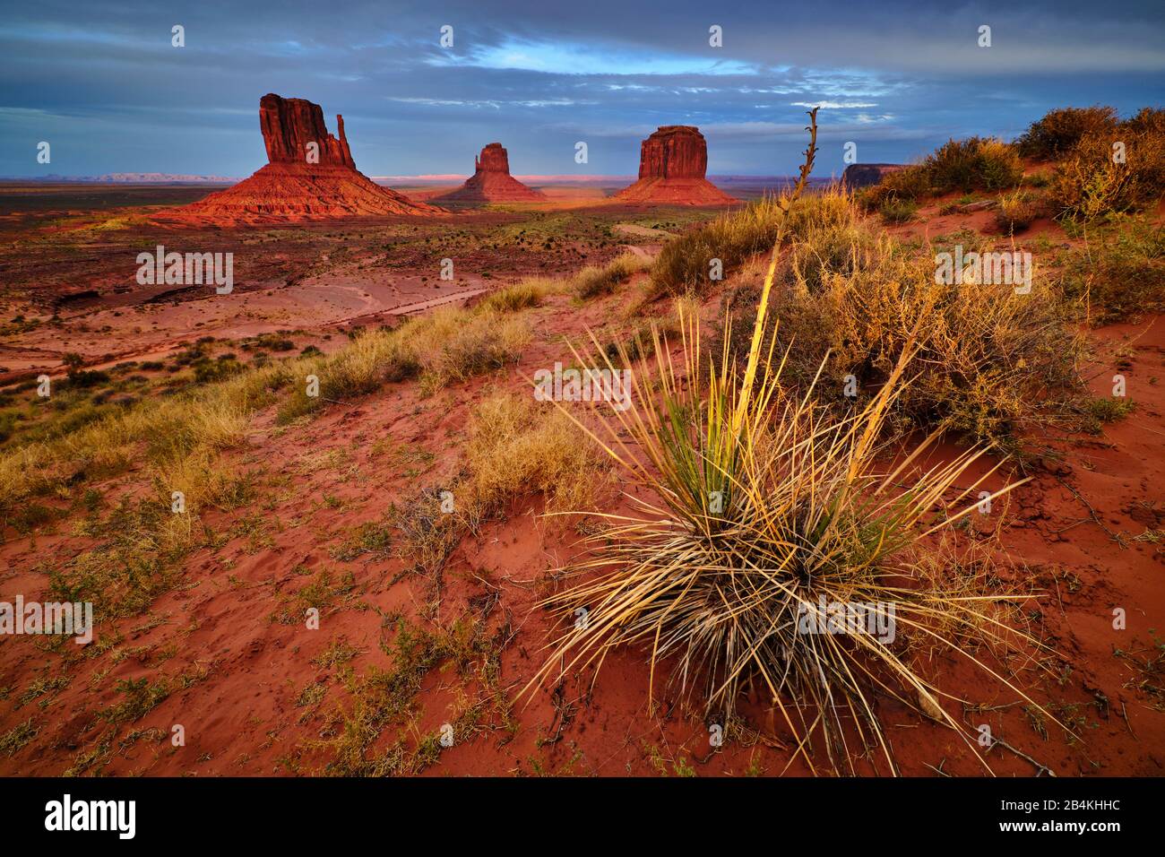 Usa, Stati Uniti D'America, Monument Valley, Navajo Reserve, Utah, Colorado Plateau, Mexican Hat, Four Corner Region, Olijato, Arizona Foto Stock