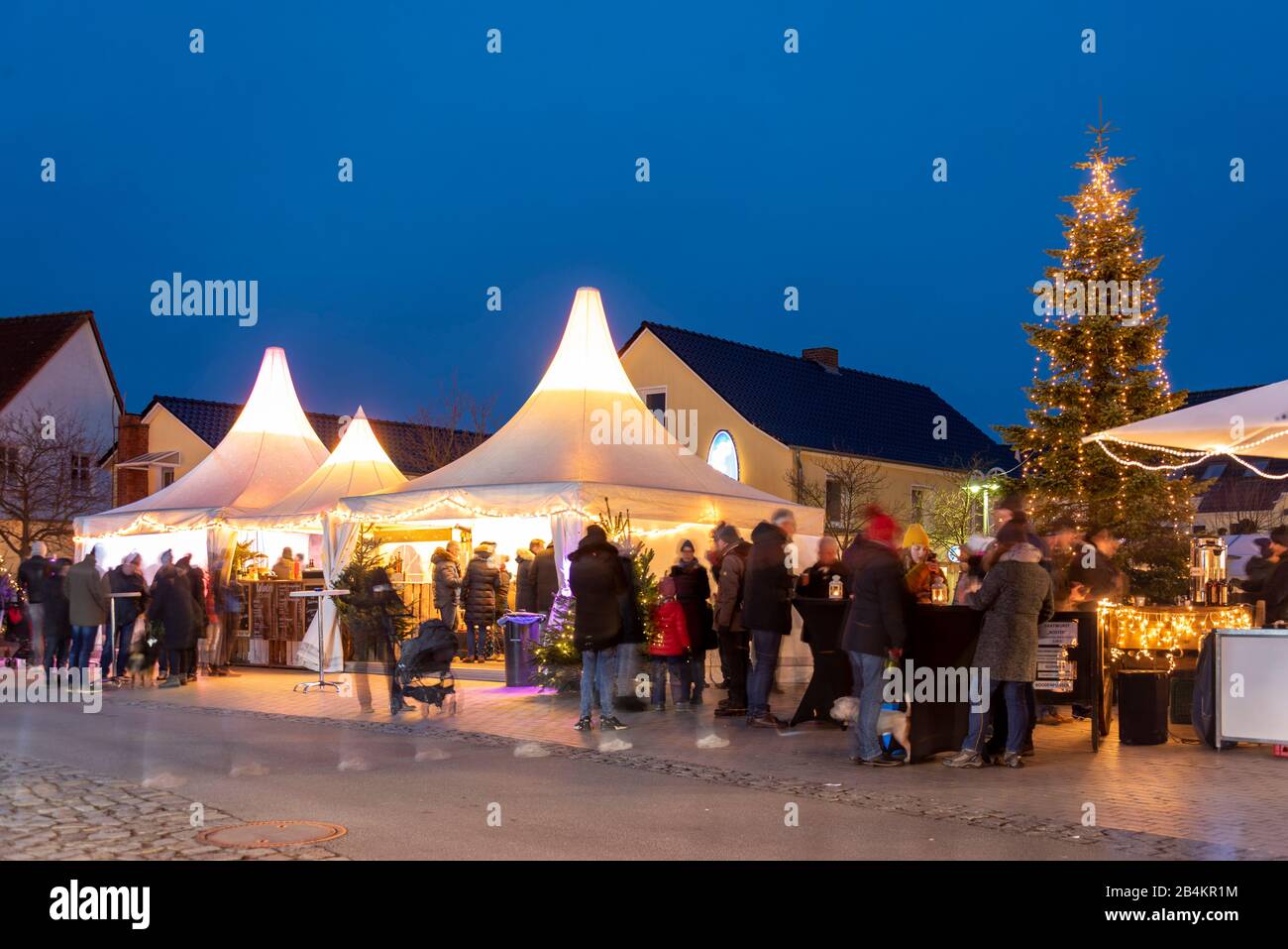 Germania, Meclemburgo-Pomerania anteriore, Zingst, mercato invernale, albero di Natale, turisti, tende Foto Stock