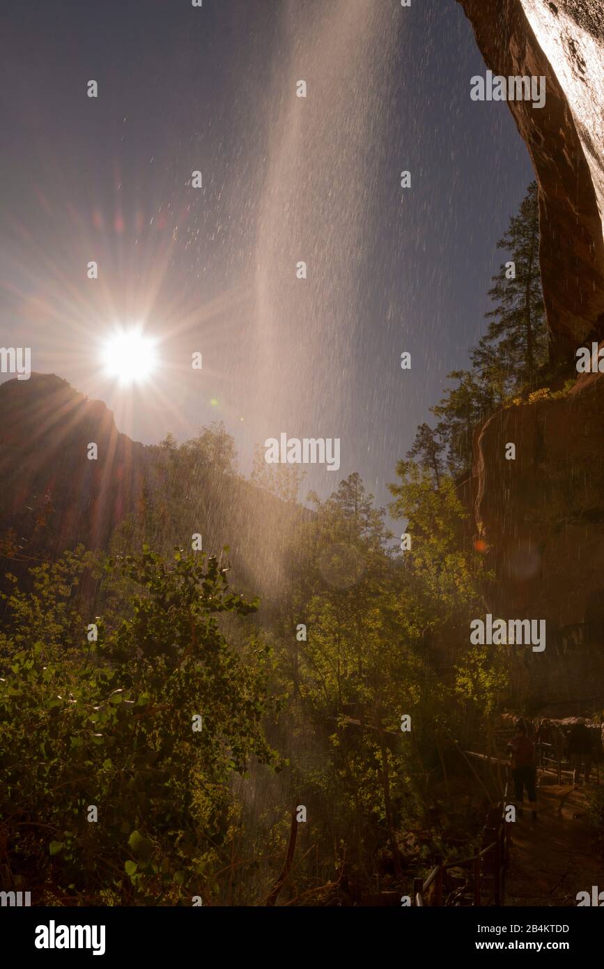 USA, Utah, Washington County, Springdale, Zion National Park, Zion Canyon, escursione alle Piscine Emerald Foto Stock