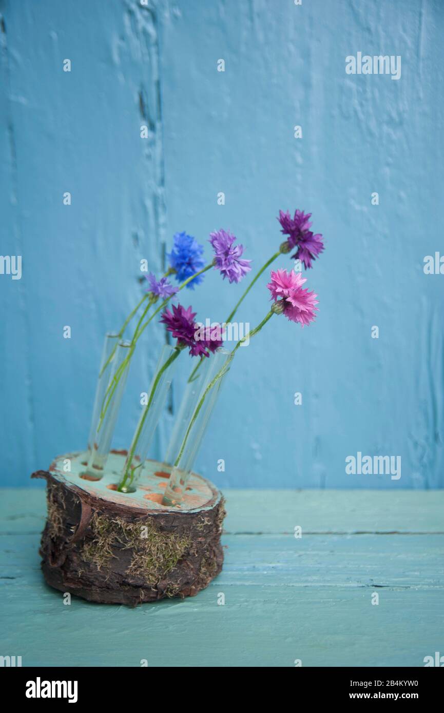 composizione di fiori secchi in vaso con lampada da pavimento per soggiorno  Foto stock - Alamy