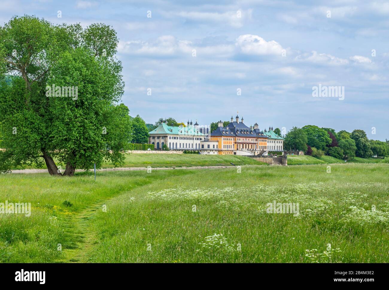 Germania, Sassonia, Dresda - Pillnitz, Castello di Pillnitz, Palazzo dell'acqua, lato fiume, Foto Stock