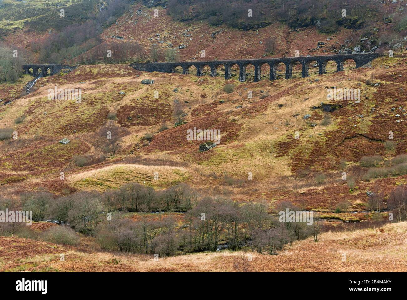 Gran Bretagna, Scozia, Highlands, Monti Grampian, Old Railway Bridge Foto Stock