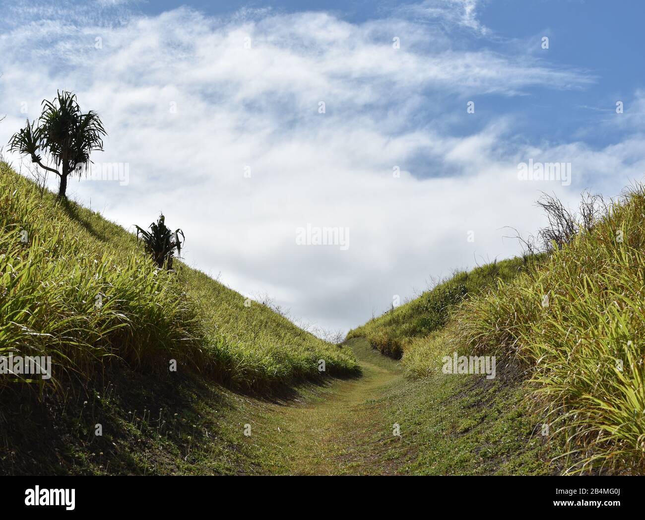 Un sentiero conduce su una delle dune stabili del Parco Nazionale delle dune di sabbia di Sigatoka su viti Levu, Fiji Foto Stock