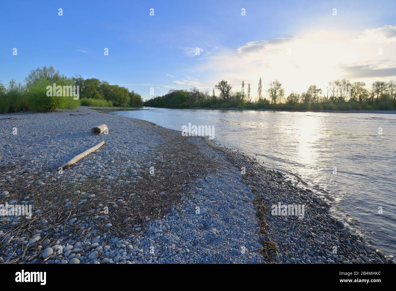 Spiaggia di ciottoli alla foce del fiume Argen, Langenargen, Lago di Costanza, Baden-Württemberg, Germania Foto Stock