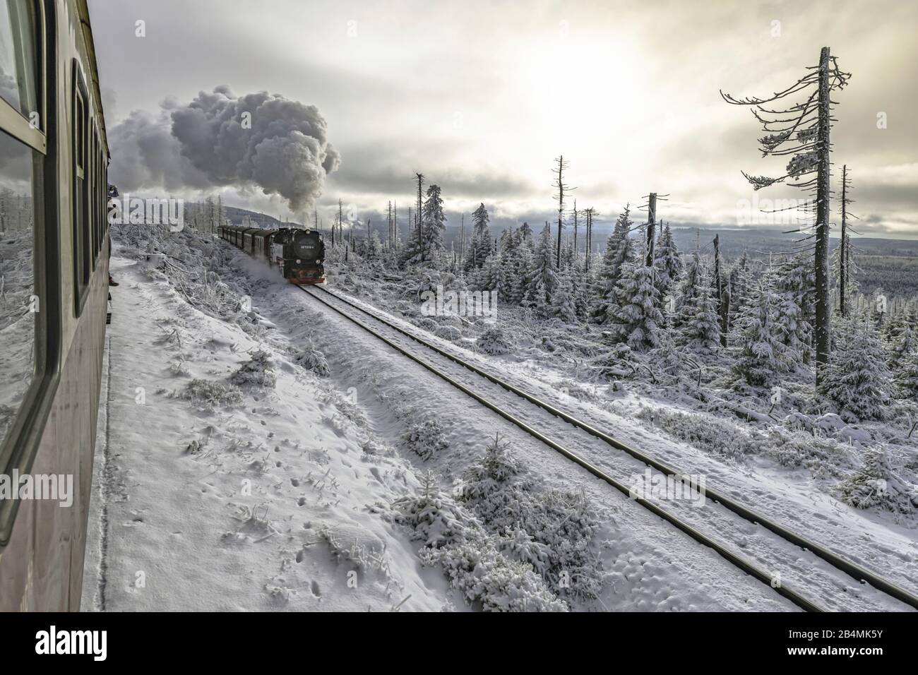 Ferrovia a scartamento ridotto Harz sotto il pieno di vapore nel paesaggio invernale sulla strada per la vetta Brocken Foto Stock