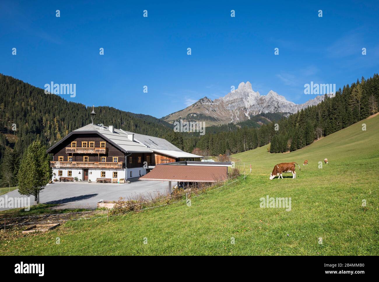 Bauernhof vor der Bischofsmütze (2458m), Filzmoos, Bezirk St. Johann im Pongau, Land Salzburg, Österreich Foto Stock