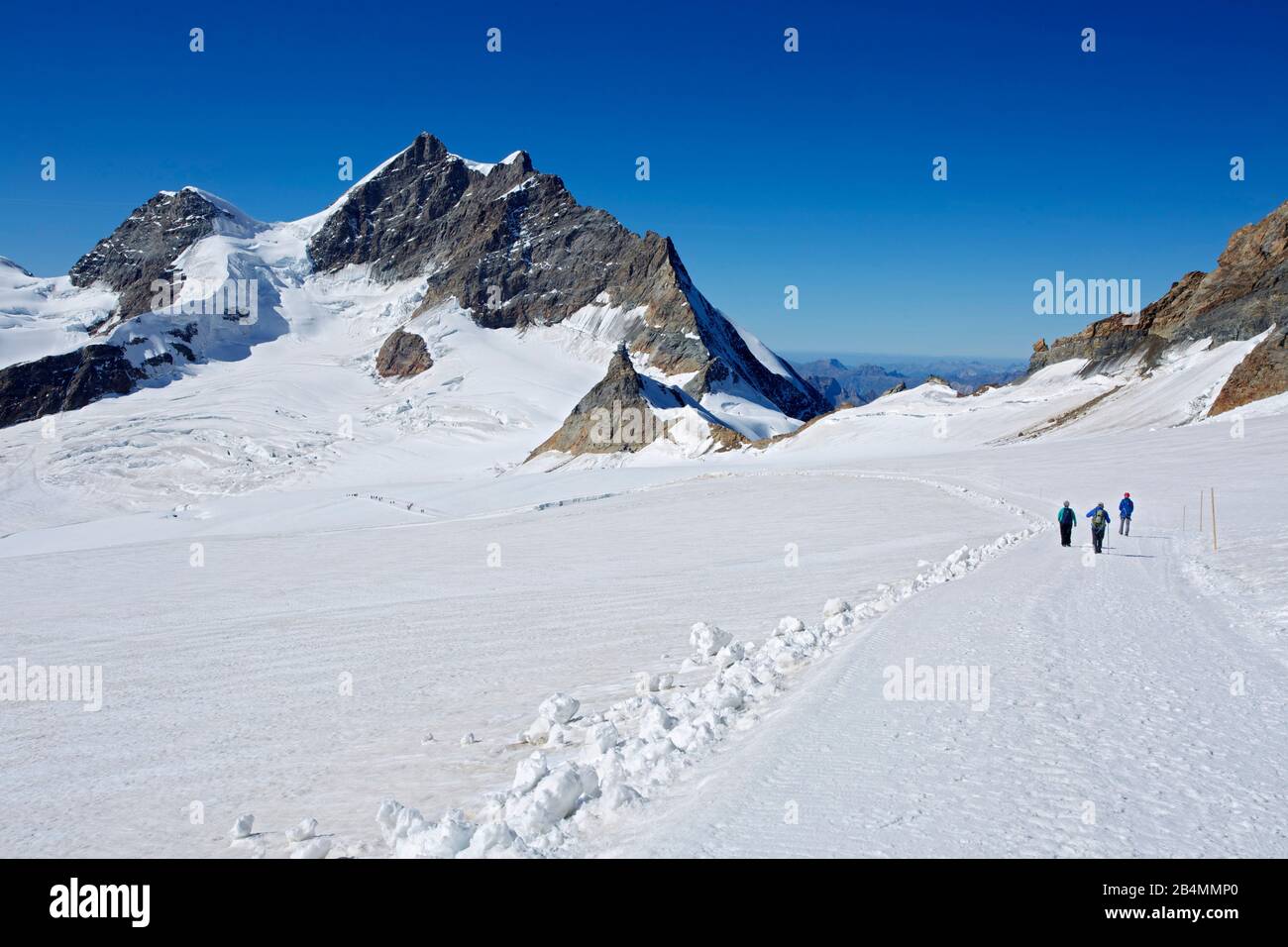 Vista sulla Jungfraufirn fino a Gletscherhorn, Jungfrau e Jungfraujoch con l'osservatorio sullo Spinx. Foto Stock