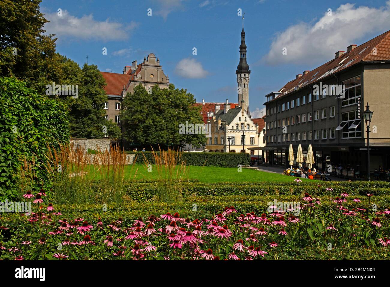 Stati baltici, Estonia, capitale Tallinn, città bassa, città bassa, piazza del municipio, pipistrelli Raekoja, torre del municipio gotico Foto Stock