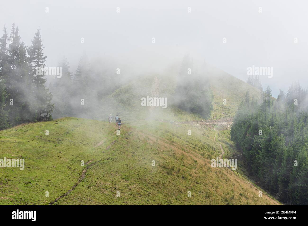 Estate in Baviera. Impressioni dai piedi delle Alpi: Escursione in montagna sulla Hörnle. La nebbia sale sulla testa del toro. Foto Stock