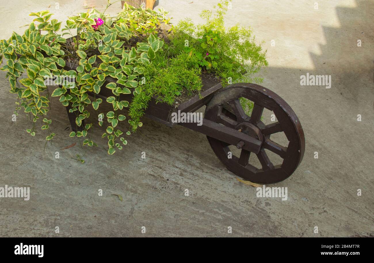 Fiorito sotto forma di un carrello con diversi bei fiori. Insolito paesaggio design in stile rustico. Foto Stock