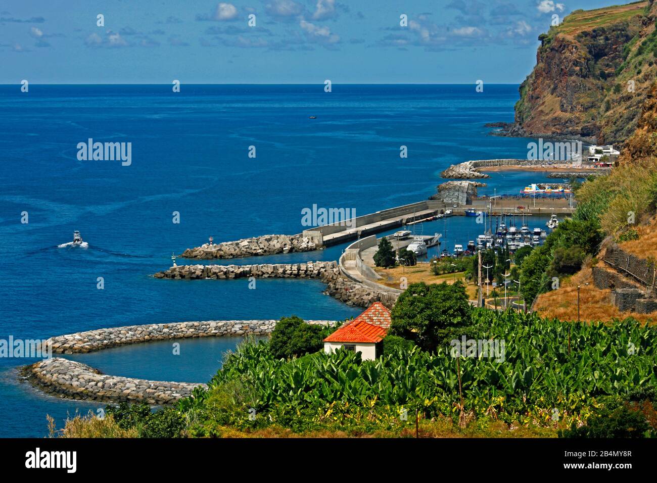 Piantagione di banane, porto di pesca, porto turistico, Calheta, Madeira, Portogallo Foto Stock