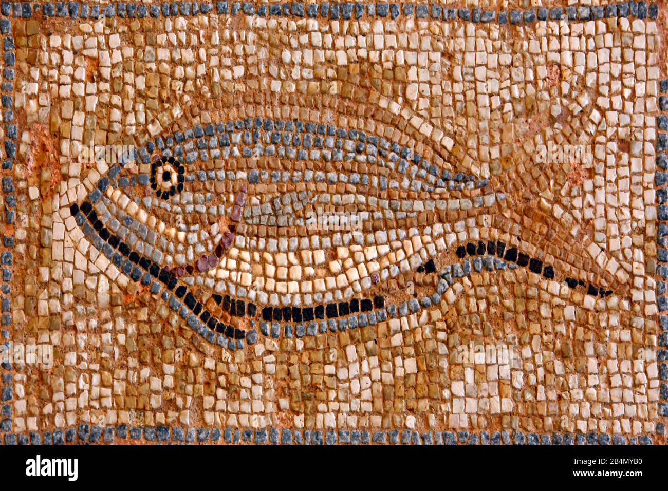 Rappresentazione del pesce dal pavimento mosaico della casa di Eustolios, Kourion, scavi, Cipro, parte greca Foto Stock
