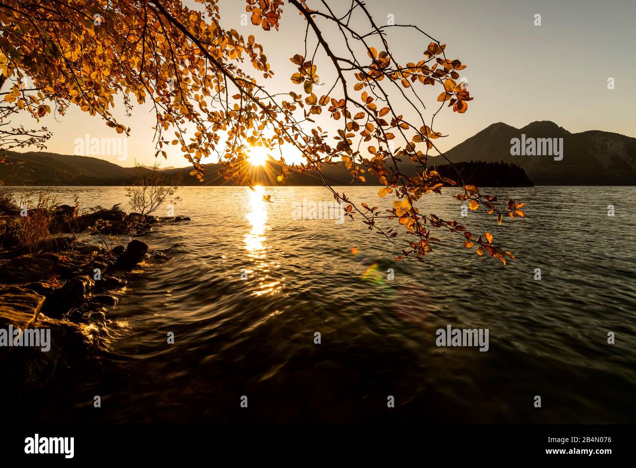 Goldene Lichtstimmung im Herbst am Ufer des Walchensee in den bayrischen Voralpen. Im Vordergrund Herbstlaub, im Hintergrund die Insel Sassau und der Foto Stock