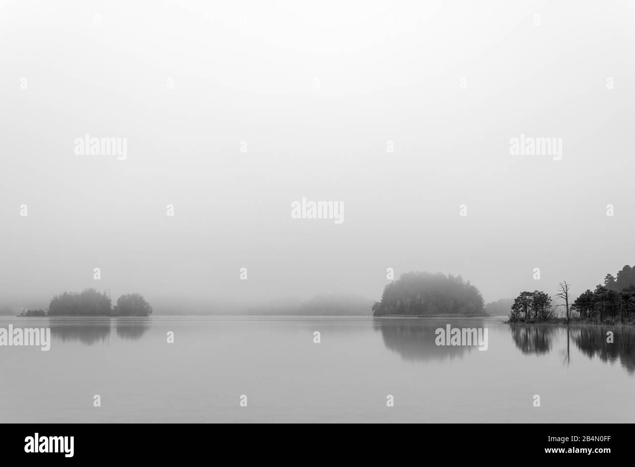Autunno umore a Fohnsee, il grande lago di Pasqua. Sulla riva destra un singolo albero morto nella foresta e attraverso la nebbia si possono vedere le isole. Foto Stock