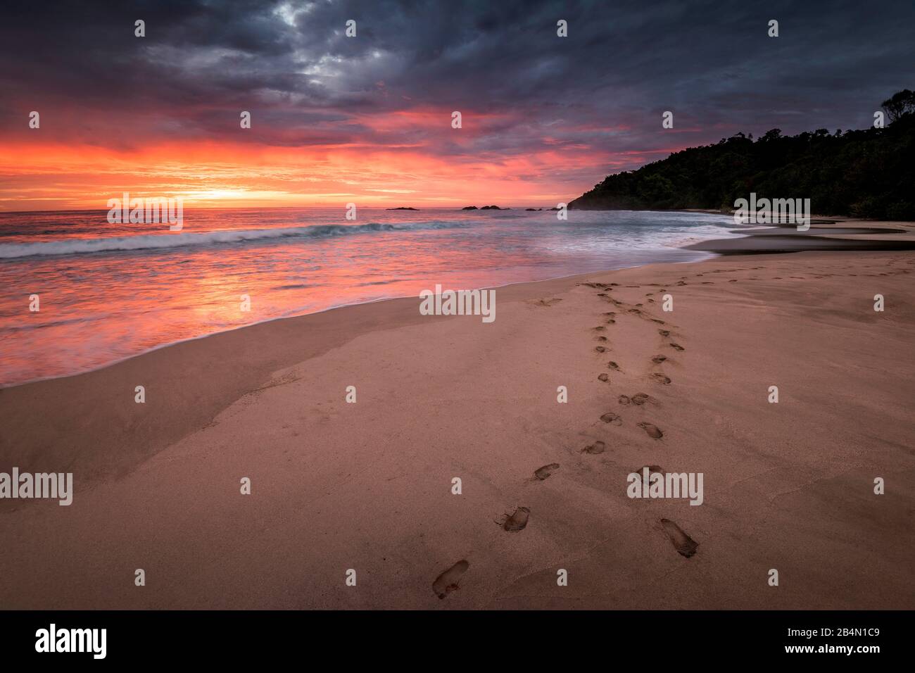 Impronte nella sabbia su una spiaggia sulla tartaruga isola di Bangkaru, Indonesia Foto Stock