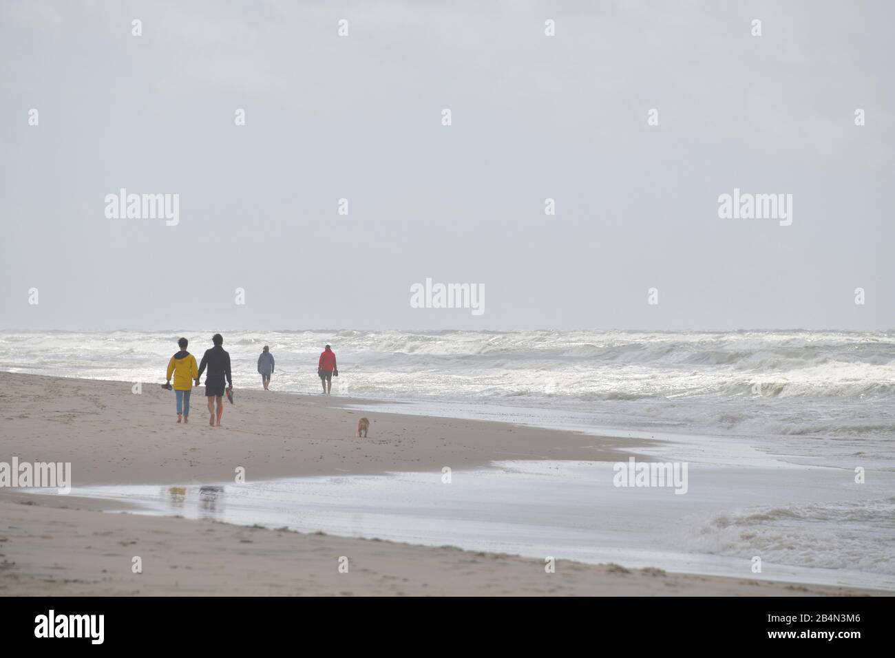 Spiaggia del Mare del Nord con turisti in estate, Hvide Sande, Ringkobing Fjord, Mare del Nord, Midtjylland, Jutland Centrale, Danimarca Foto Stock