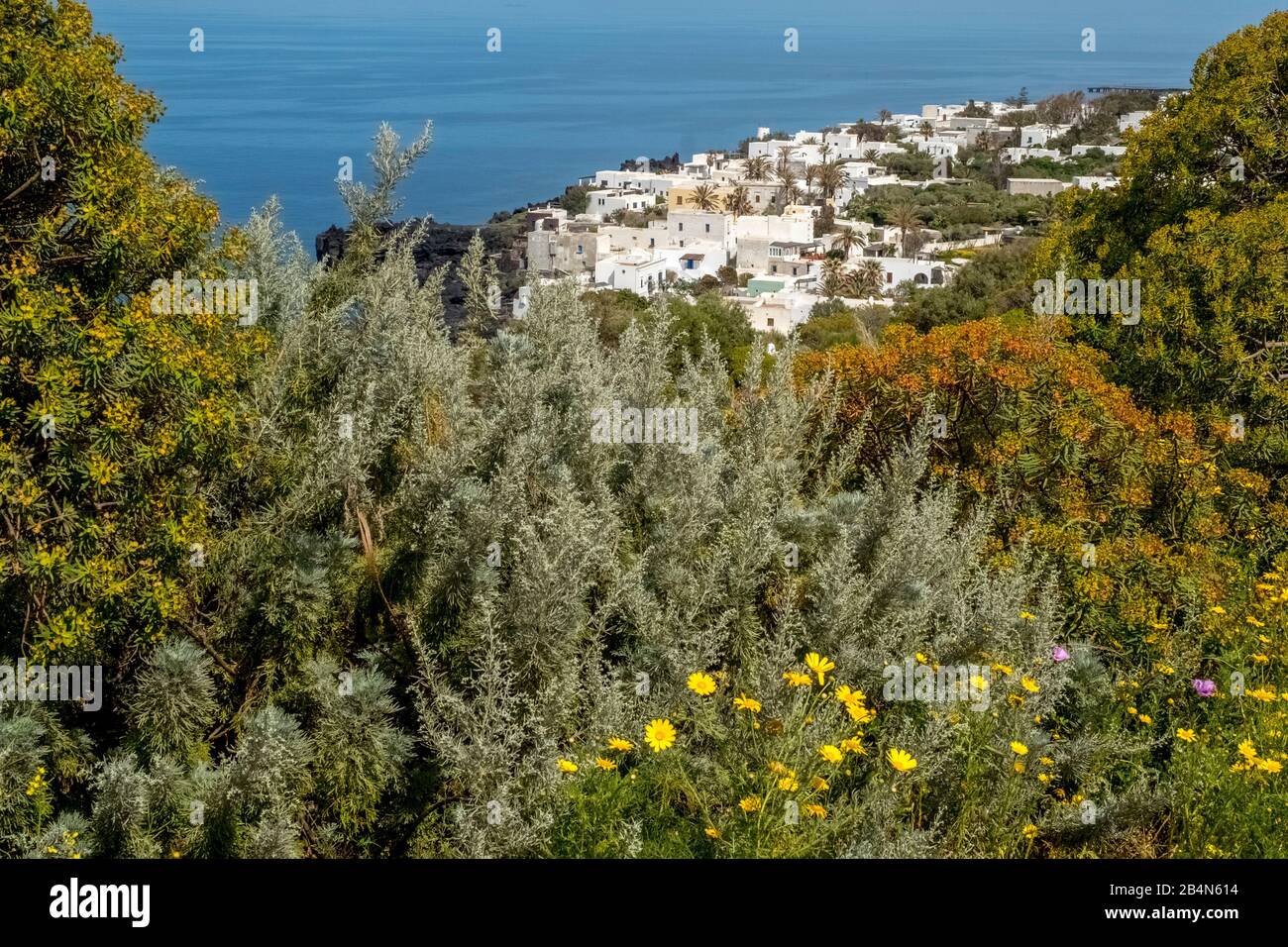 Vista Attraverso I Verdi Cespugli Di Stromboli, Lipari, Isole Eolie, Isole Eolie, Mar Tirreno, Italia Meridionale, Europa, Sicilia, Italia Foto Stock