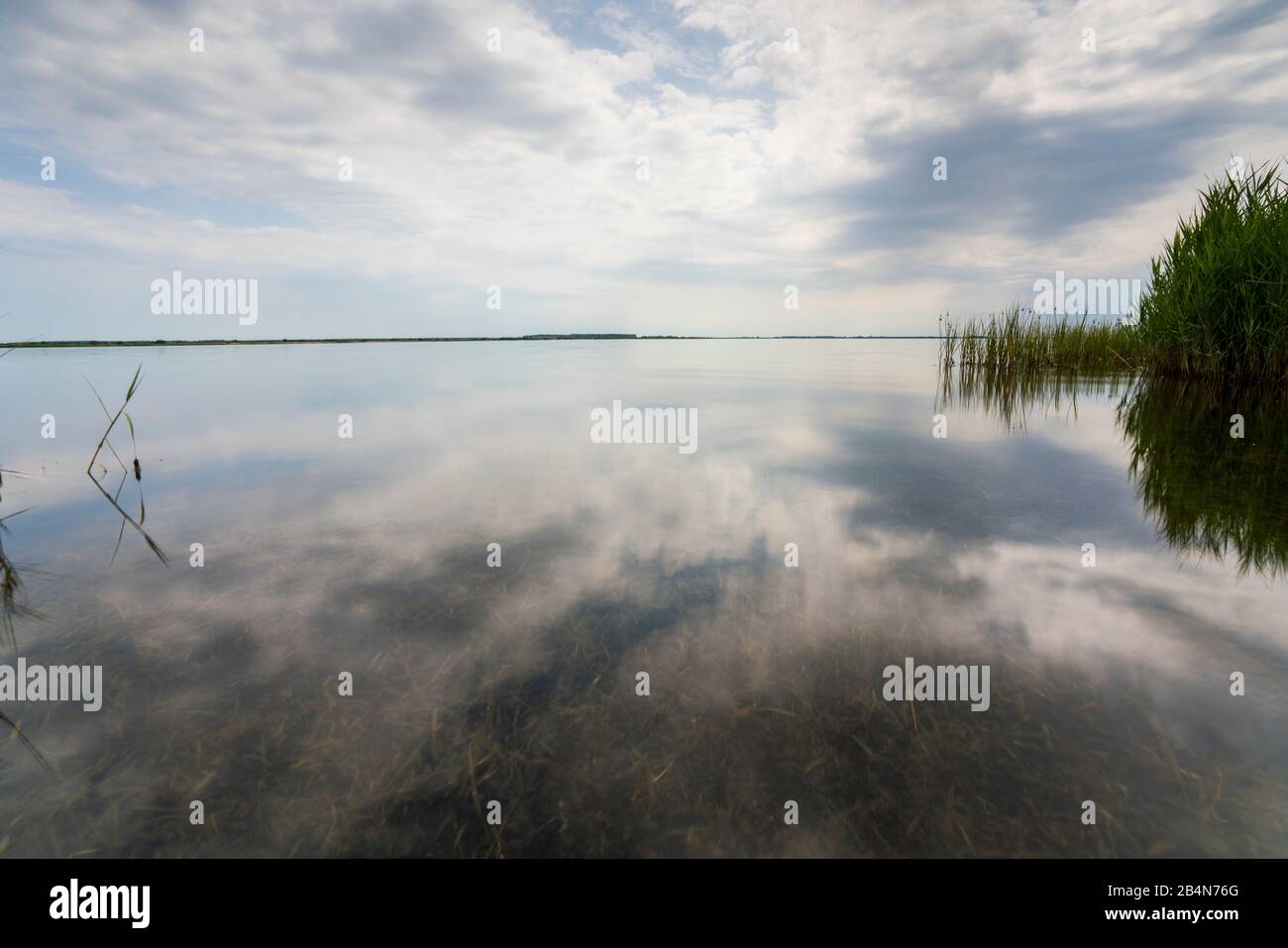 Pietre e canne e la loro riflessione sulla Schaproder Bodden in estate con belle nuvole. Il lato opposto del Mar Baltico a Hiddensee con sole, riflessione e belle nuvole Foto Stock