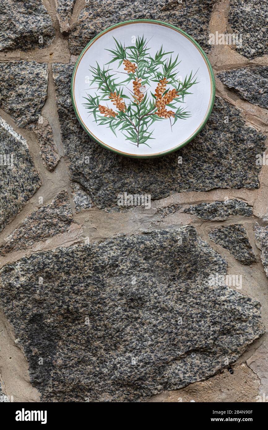 Piastra a muro, arredamento, rami di mare buckthorn Foto Stock
