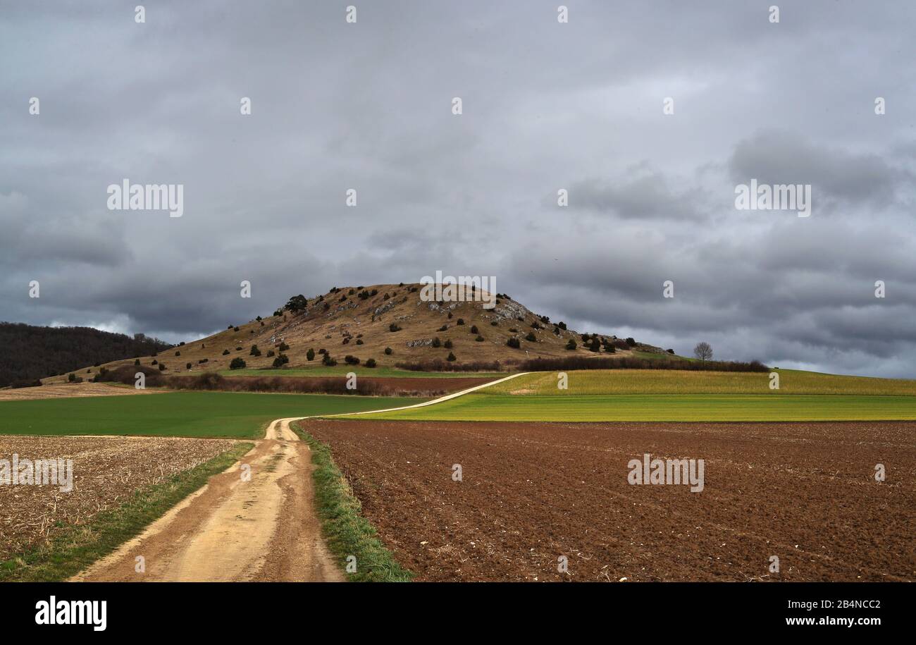 06 marzo 2020, Baviera, Nördlingen: Una collina sorge ai margini del cratere meteorite Nördlinger Ries. Gli scienziati hanno analizzato i campioni dell'area per ottenere i dati per una missione della NASA su Marte (a dpa-KORR: 'La roccia bavarese dovrebbe aiutare nella ricerca della vita su Marte' del 07.03.2020). Foto: Karl-Josef Hildenbrand/Dpa Foto Stock