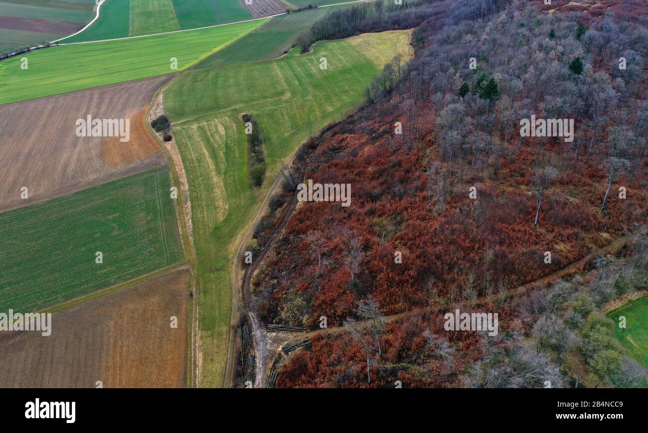 06 marzo 2020, Baviera, Mönchsdeggingen: Vista del bordo boschivo meridionale del cratere meteorite Nördlinger Ries (foto aerea scattata con un drone). Gli scienziati hanno analizzato i campioni dell'area per ottenere i dati per una missione della NASA su Marte (a dpa-KORR: 'Le rocce bavaresi dovrebbero aiutare nella ricerca della vita su Marte' del 07.03.2020). Foto: Karl-Josef Hildenbrand/Dpa Foto Stock