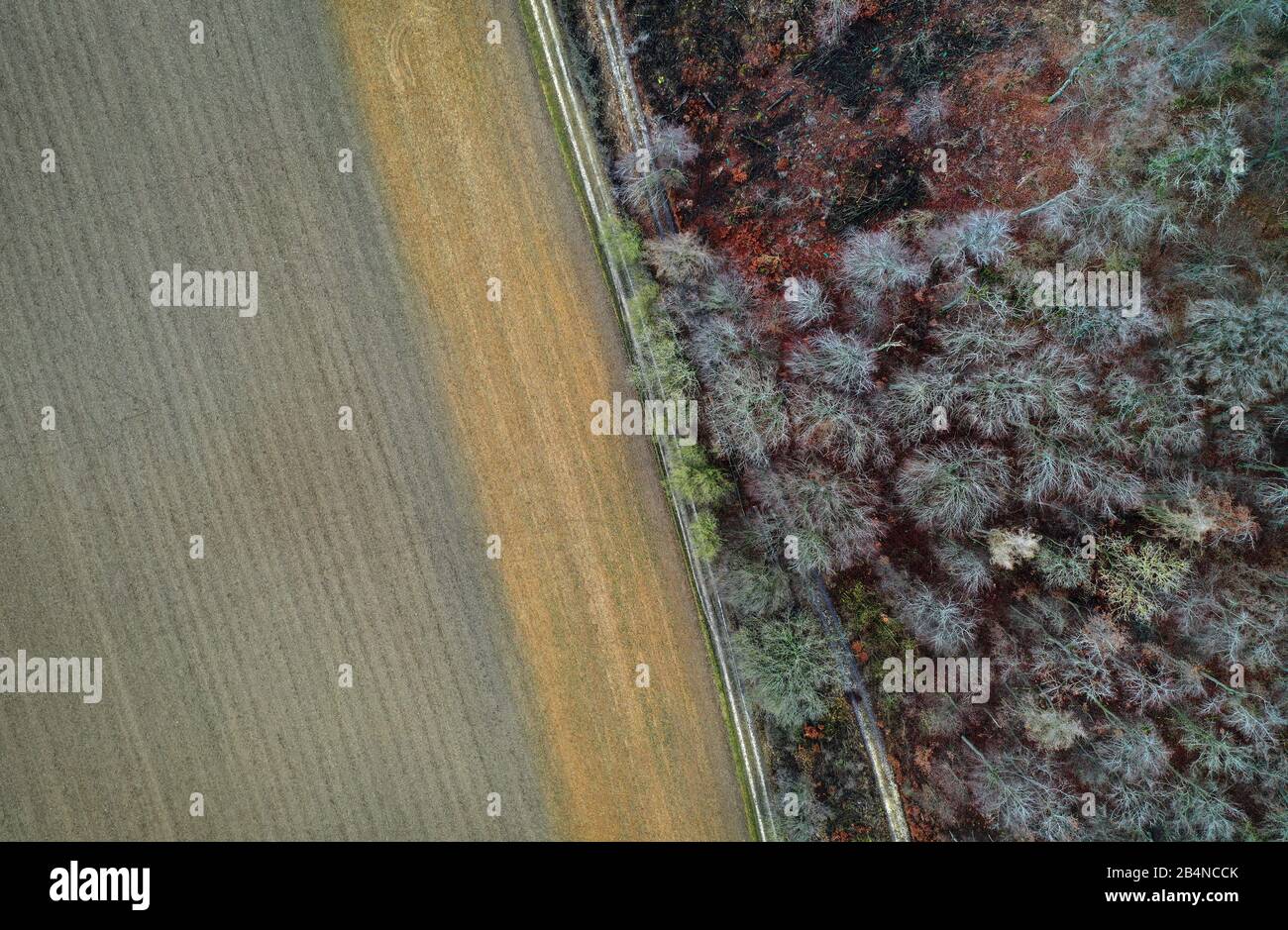 06 marzo 2020, Baviera, Mönchsdeggingen: Vista del bordo boschivo meridionale del cratere meteorite Nördlinger Ries (foto aerea scattata con un drone). Gli scienziati hanno analizzato i campioni dell'area per ottenere i dati per una missione della NASA su Marte (a dpa-KORR: 'Le rocce bavaresi dovrebbero aiutare nella ricerca della vita su Marte' del 07.03.2020). Foto: Karl-Josef Hildenbrand/Dpa Foto Stock