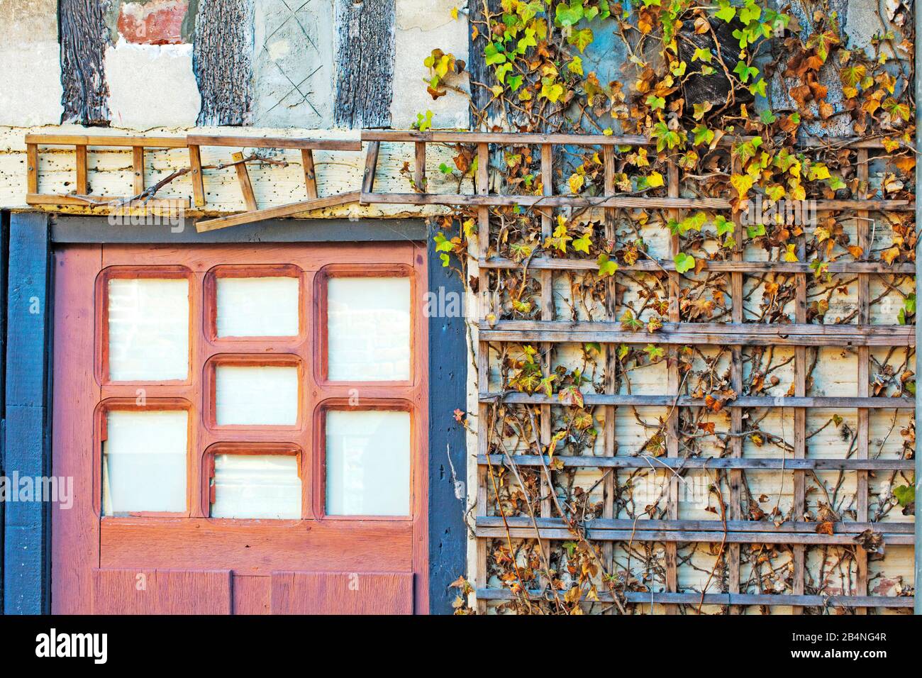 Dettagli sulla casa a graticcio con porta rosa e traliccio. Beaumont-en-Auge nel dipartimento del Calvados nella regione della Normandia Foto Stock