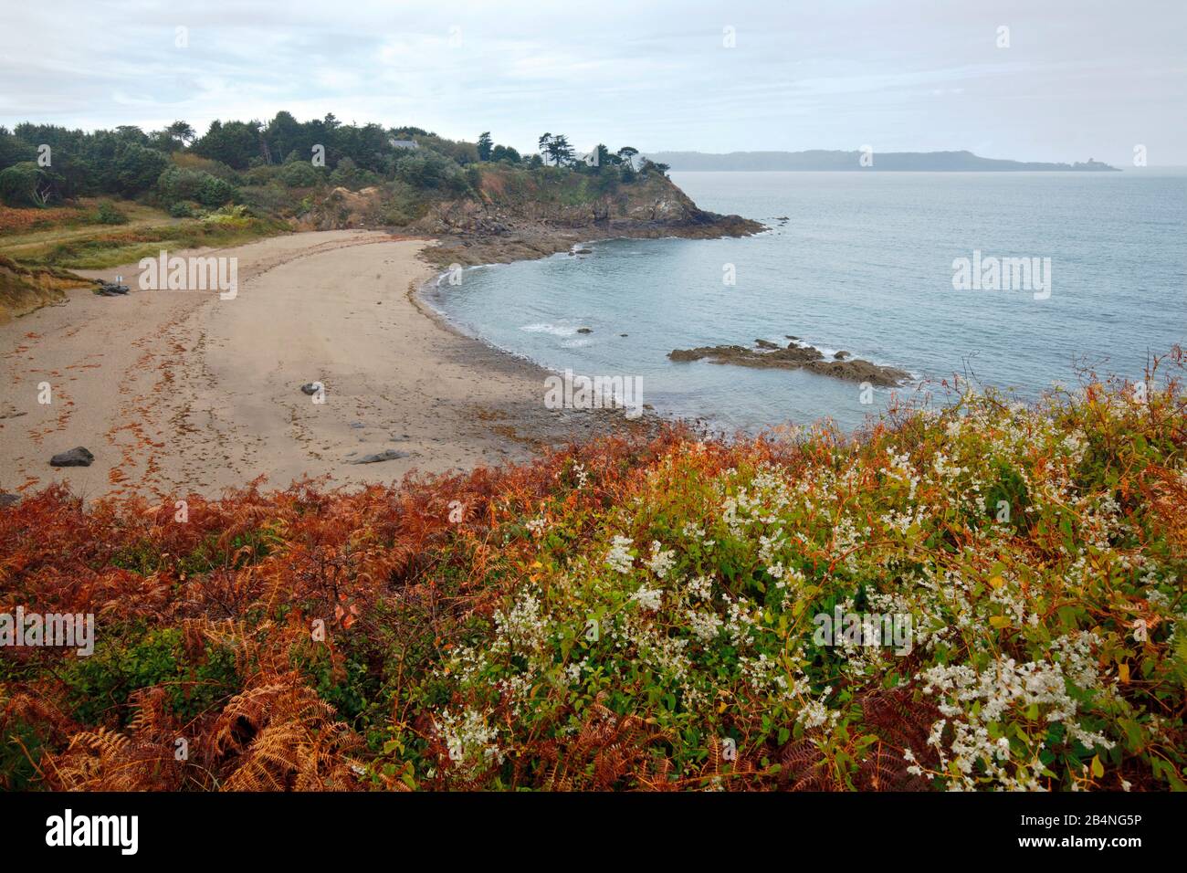 Colori autunnali sulla Costa Smeralda. Una parte di costa in Bretagna è conosciuta come la Côte d'Émeraude (costa smeraldo tedesca). Foto Stock