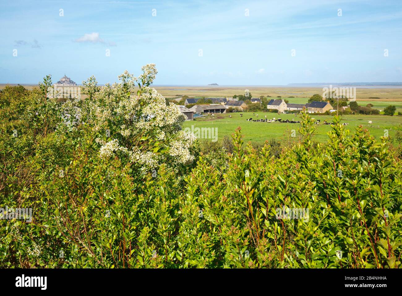 Vista dal cimitero di guerra tedesco Mont-de-Huisnes sul paesaggio al Mont St. Michel, uno dei più grandi monumenti architettonici della Francia. Foto Stock