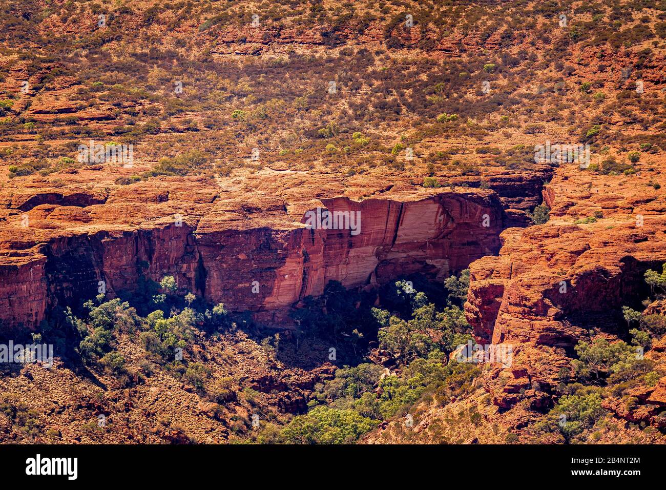 Kings Canyon, il Territorio del Nord, l'Australia Foto Stock