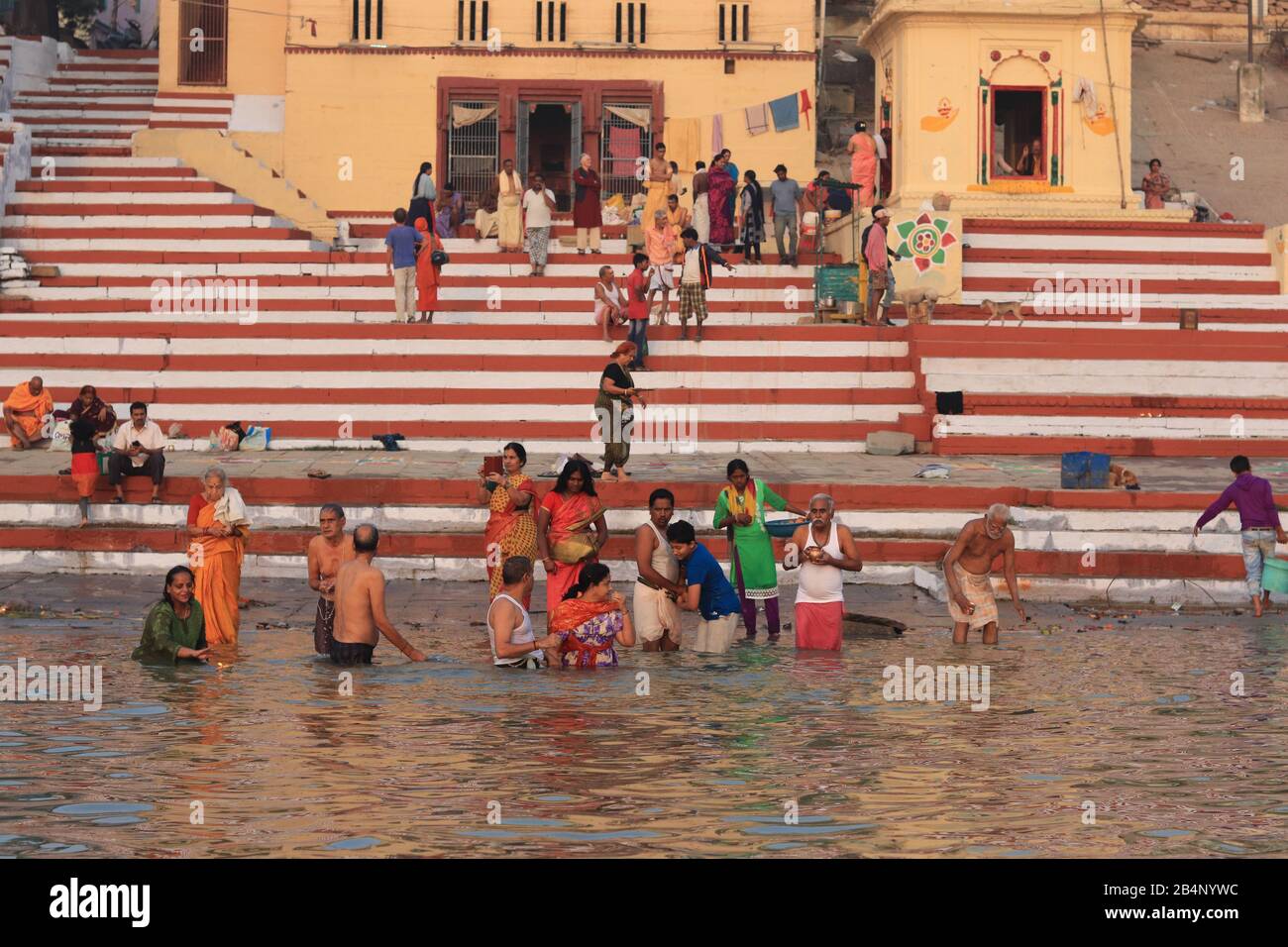 I pellegrini indiani prendono il bagno santo al fiume Ganga Foto Stock