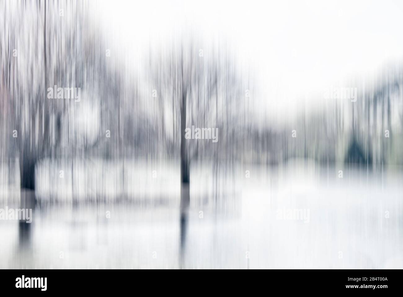 Fotografia astratta, Inverno al lago con alberi alti Cornovaglia, gli alberi al lago, Cornovaglia Inverno al lago Cornovaglia, Abstract Photography, Foto Stock