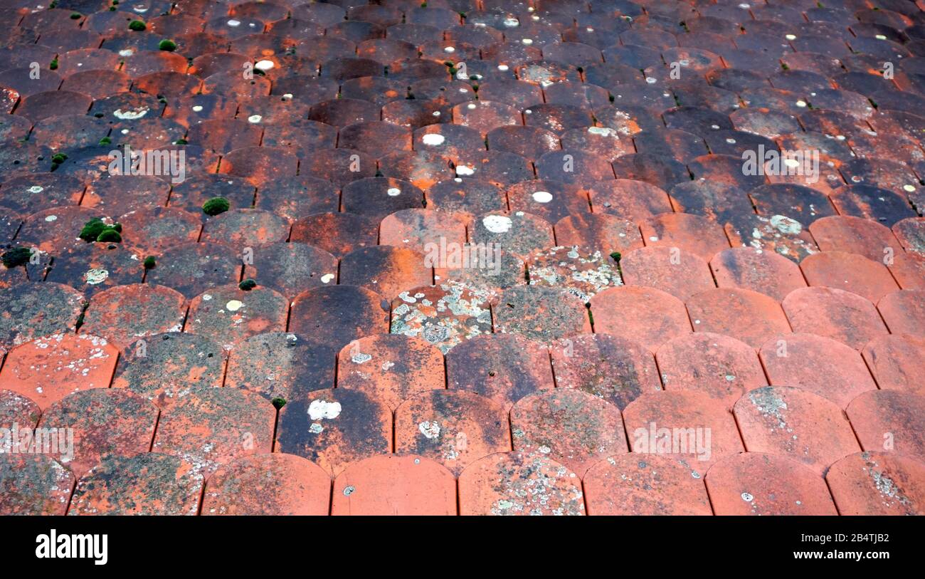 Arancione Rosso vecchio tetto piastrelle ceramica tegola scandole Medioevo trama sfondo a Rothenburg ob der Tauber, Germania, Europa con spazio copia Foto Stock