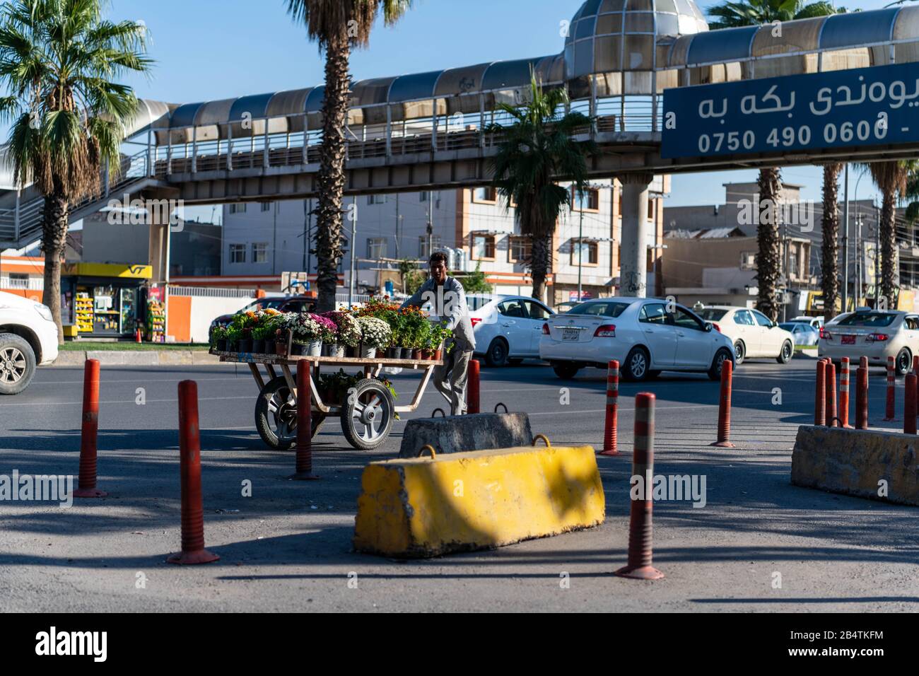 Iraq, Kurdistan iracheno, Erbil. Vista di un incrocio. Un uomo sta camminando nella direzione opposta delle automobili mentre spinge un carrello pieno di fiori Foto Stock