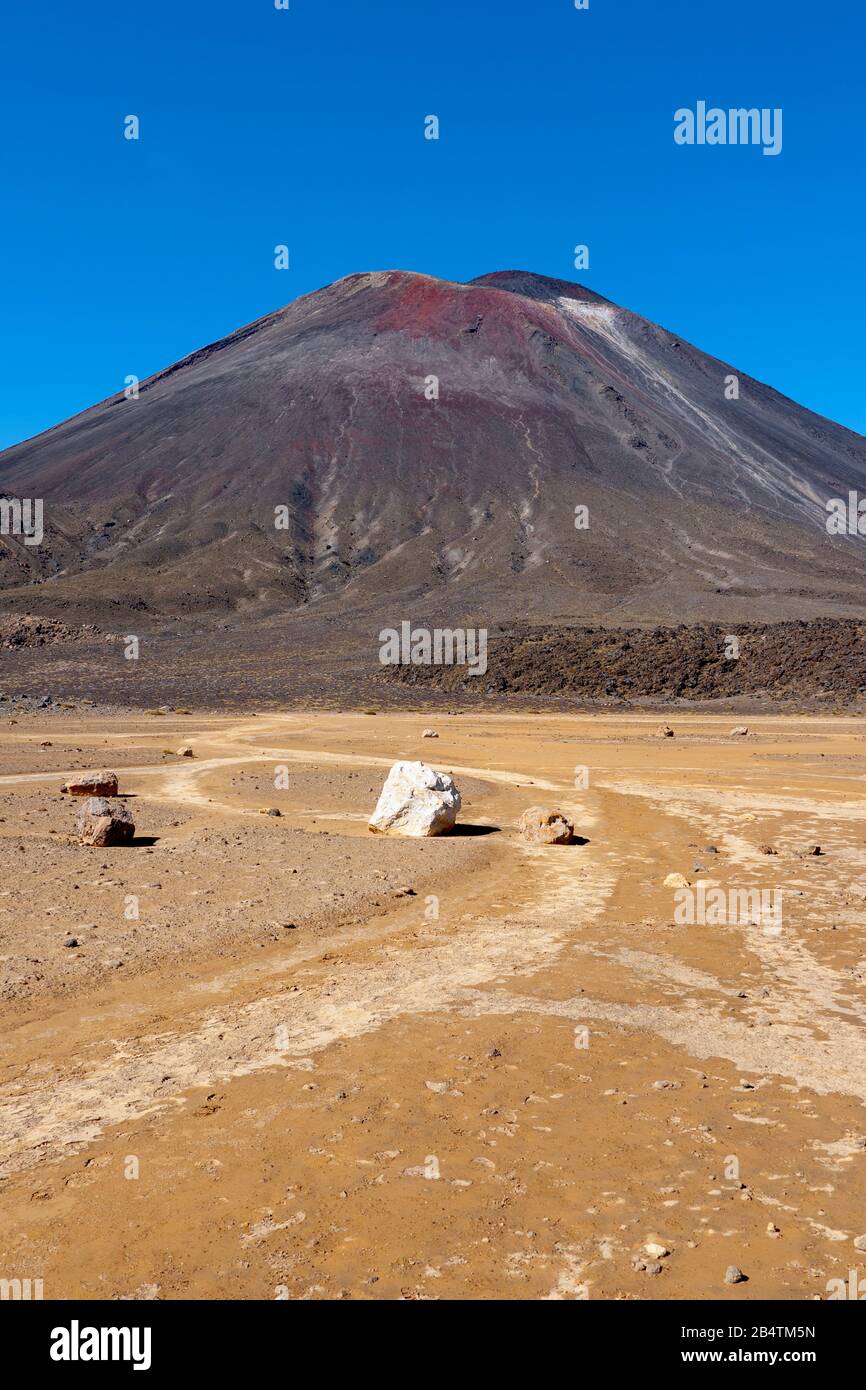 Il Cratere Sud E Il Cono Del Monte Ngauruhoe, Tongariro Alpine Crossing, Nuova Zelanda Foto Stock