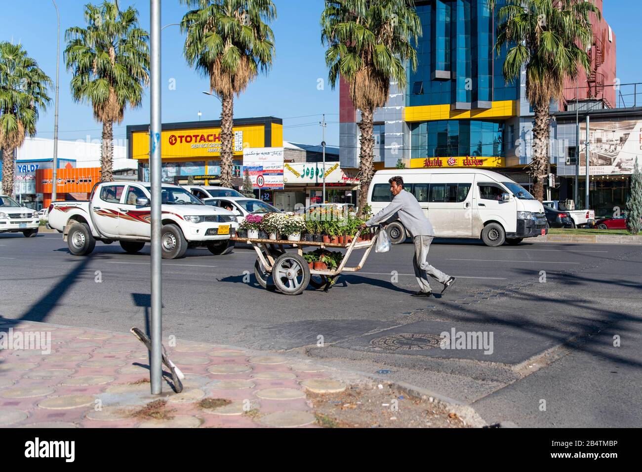 Iraq, Kurdistan iracheno, Erbil. Vista di un incrocio. Un uomo sta camminando nella direzione opposta delle automobili mentre spinge un carrello pieno di fiori Foto Stock