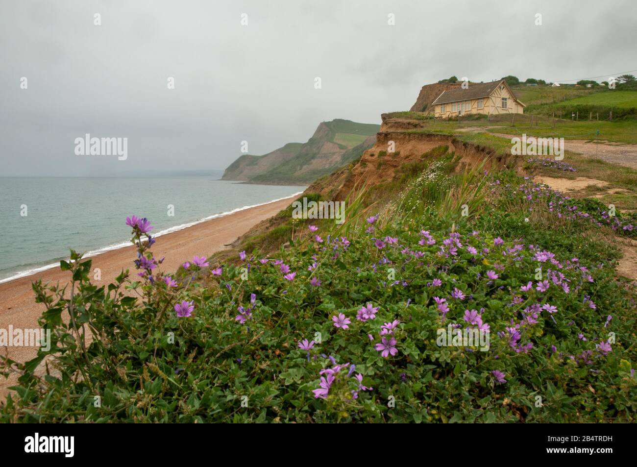 Vista sulla spiaggia di Eype sulla costa jurrasica di Dorset, Inghilterra, in una giornata estiva travagliata e mistrosa. Foto Stock