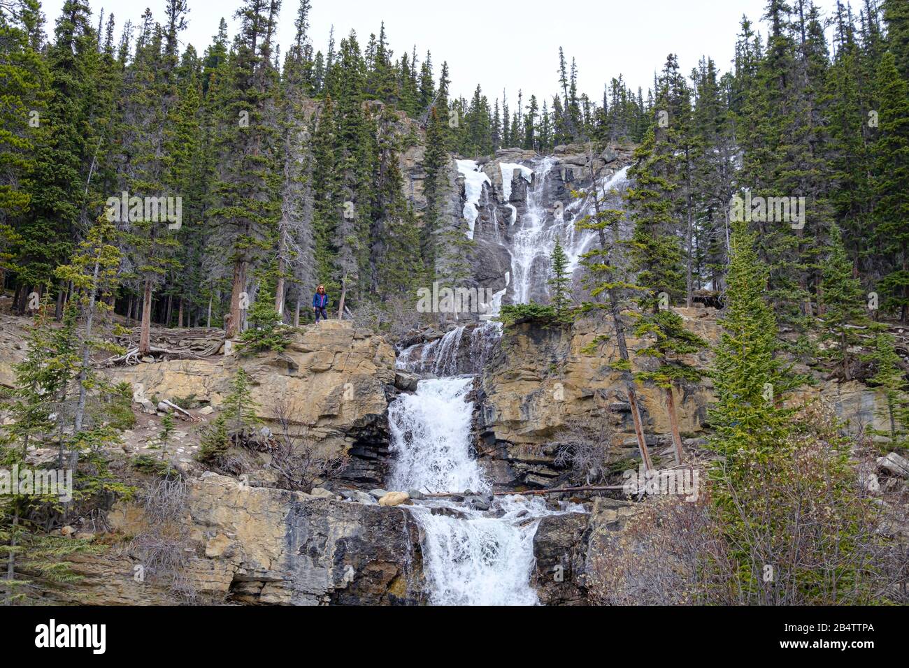 Cascate Di Tangle Creek Nel Jasper National Park, Alberta, Canada Foto Stock